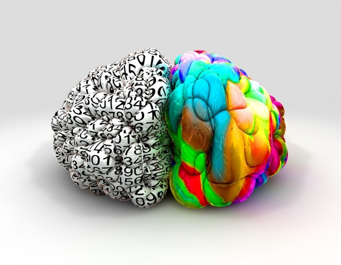 hemisferio-izquierdo-derecho-cerebro