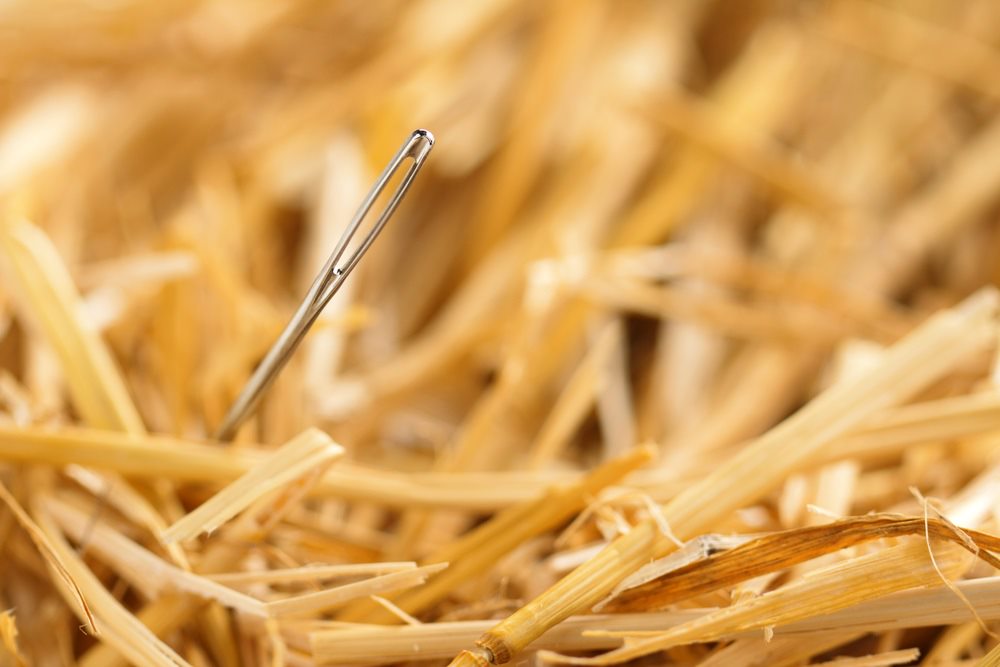 desarrollo-innovacion